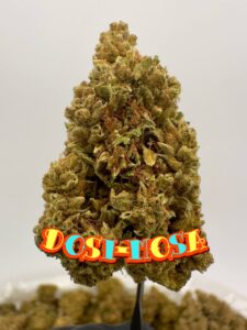 NEW HIGH END OUTDOORS: Dosi-Mosa, Peanut Butter Breath, Caramel Fizz, Venom Wreck