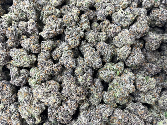 [EXOTIC] Gelato X