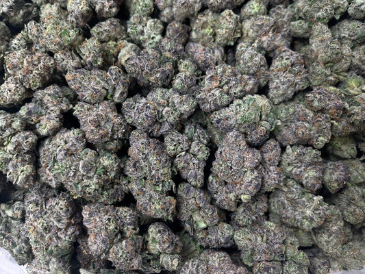 [EXOTIC] White Bubblegum Gelato