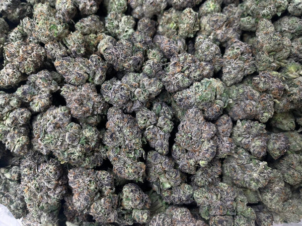 [EXOTIC] White Bubblegum Gelato