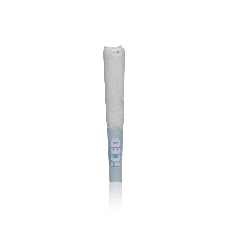 ICED Iced Baby 5PK