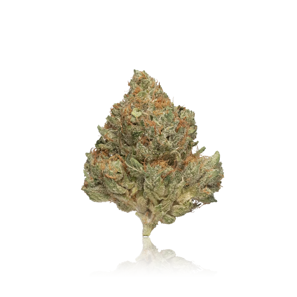 LAX Packs First Class Exotic Flower