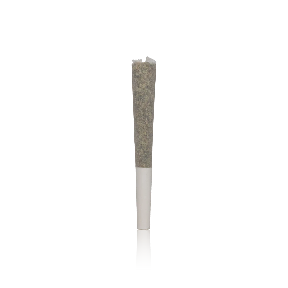LAX Packs Premium Pre-Roll Layovers 7PK