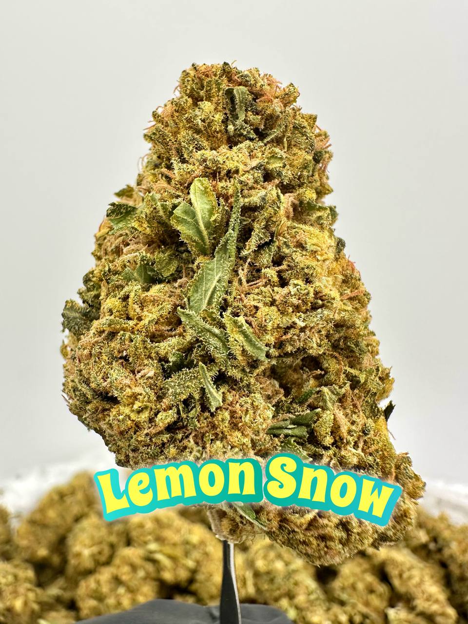 ORGANIC OUTDOORS: Alien Dawg, Sweet Tooth, Lemon Snow, Grape Ape