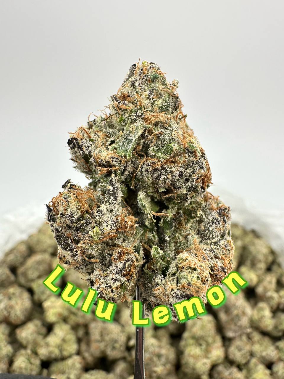 NEW A++ BEYOND EXOTICS: Sour Candy Sugar Runtz, Lulu Lemon