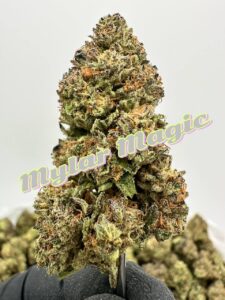 NEW PREMIER LIGHT DEPS: Mylar Magic, Shine Box, Grapple Pie, Dip N Stix
