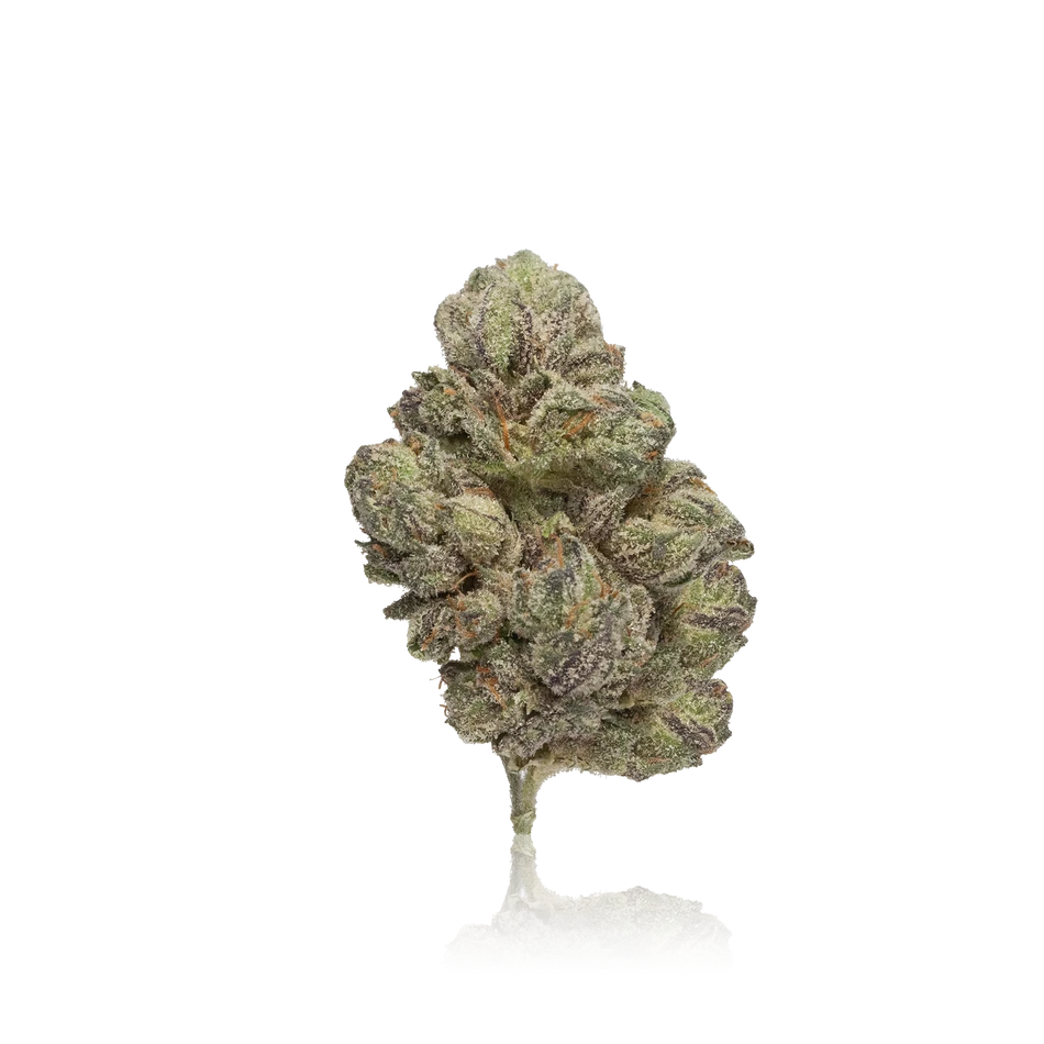 Official Gooniez Exotic Flower