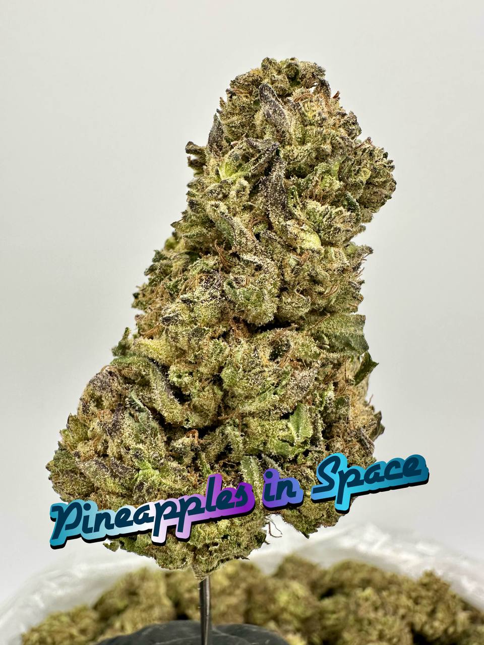 LIGHT DEPS: Pineapples In SpacePine