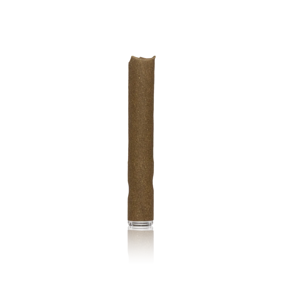 Paper Planes Premium Infused Blunt
