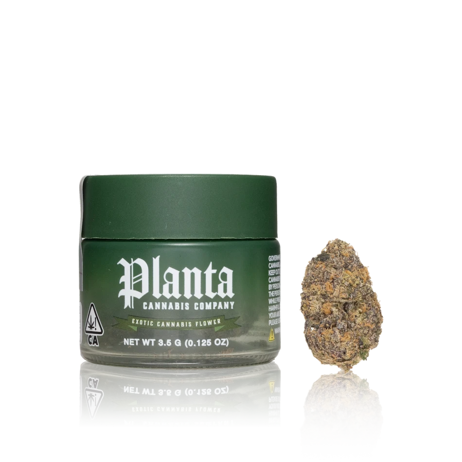 Planta Exotic Cannabis Flower