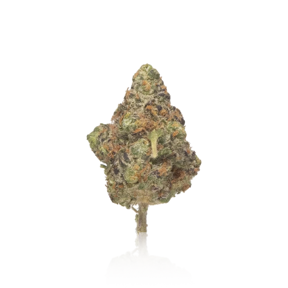 Quiet Kings Quality Cannabis Flower 7G