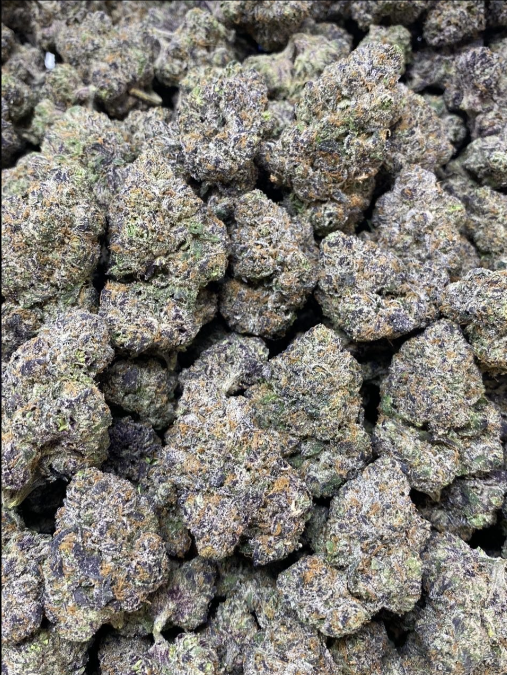 [SNAIL] Blueberry Caviar Indoor Fire