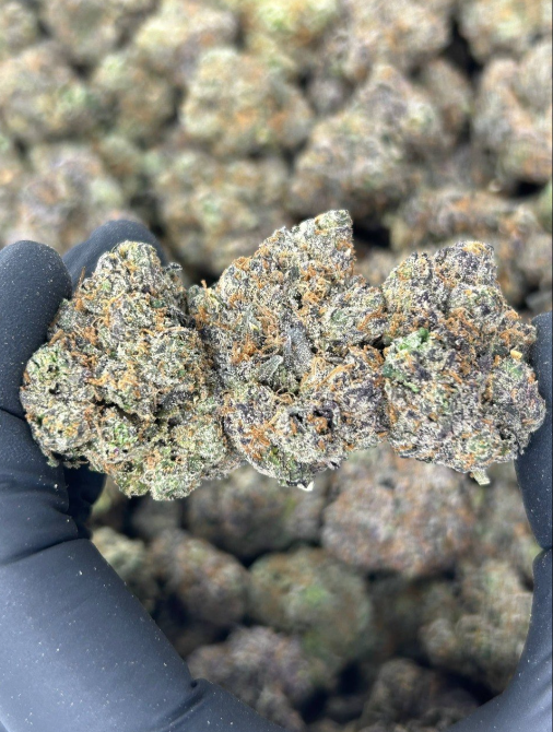 [TSS] Black Cherry Gelato