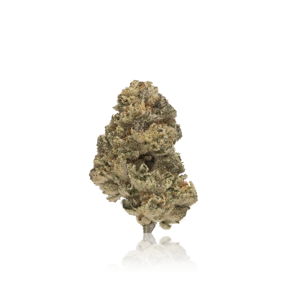 SnowTill Premium No-Till Indoor Cannabis Flower 1/8