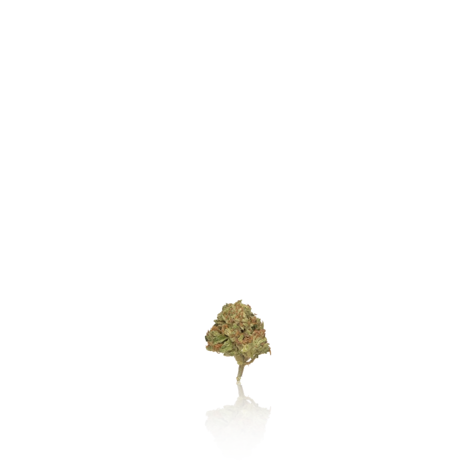 Sun Smoke Sun Grown Flower 14G