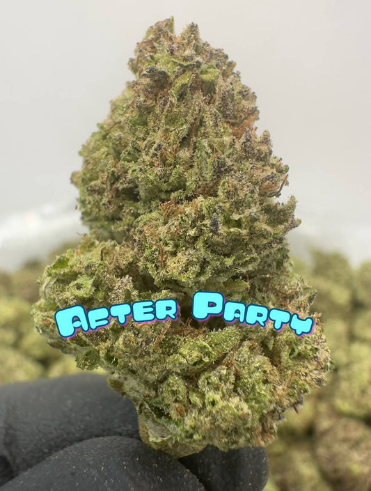 NEW BOUTQUES: After Party