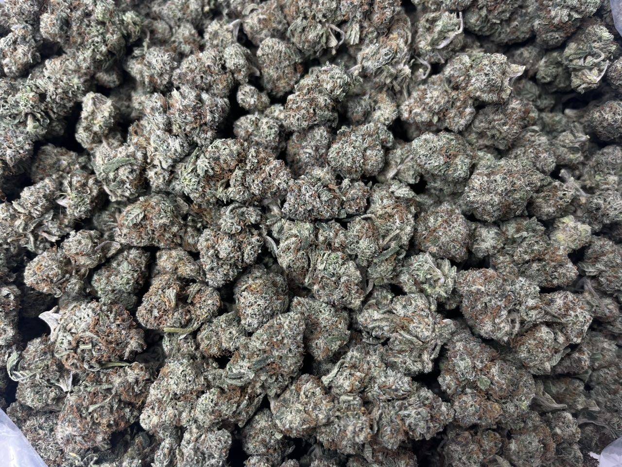 Caramel Apple Gelato