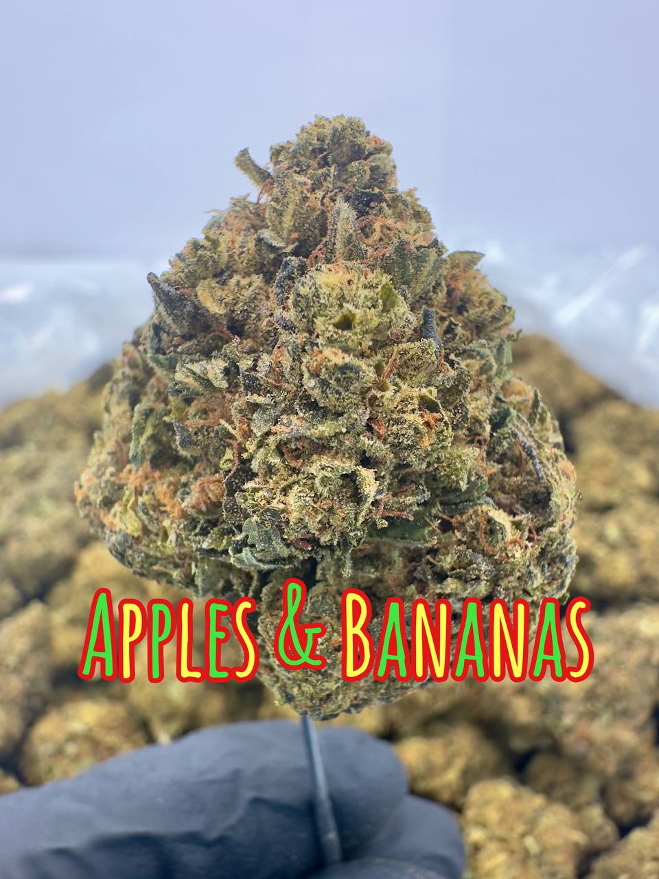 NEW ORGANIC OUTDOORS: Gushers, True OG, Apples N Bananas, New Car Smell