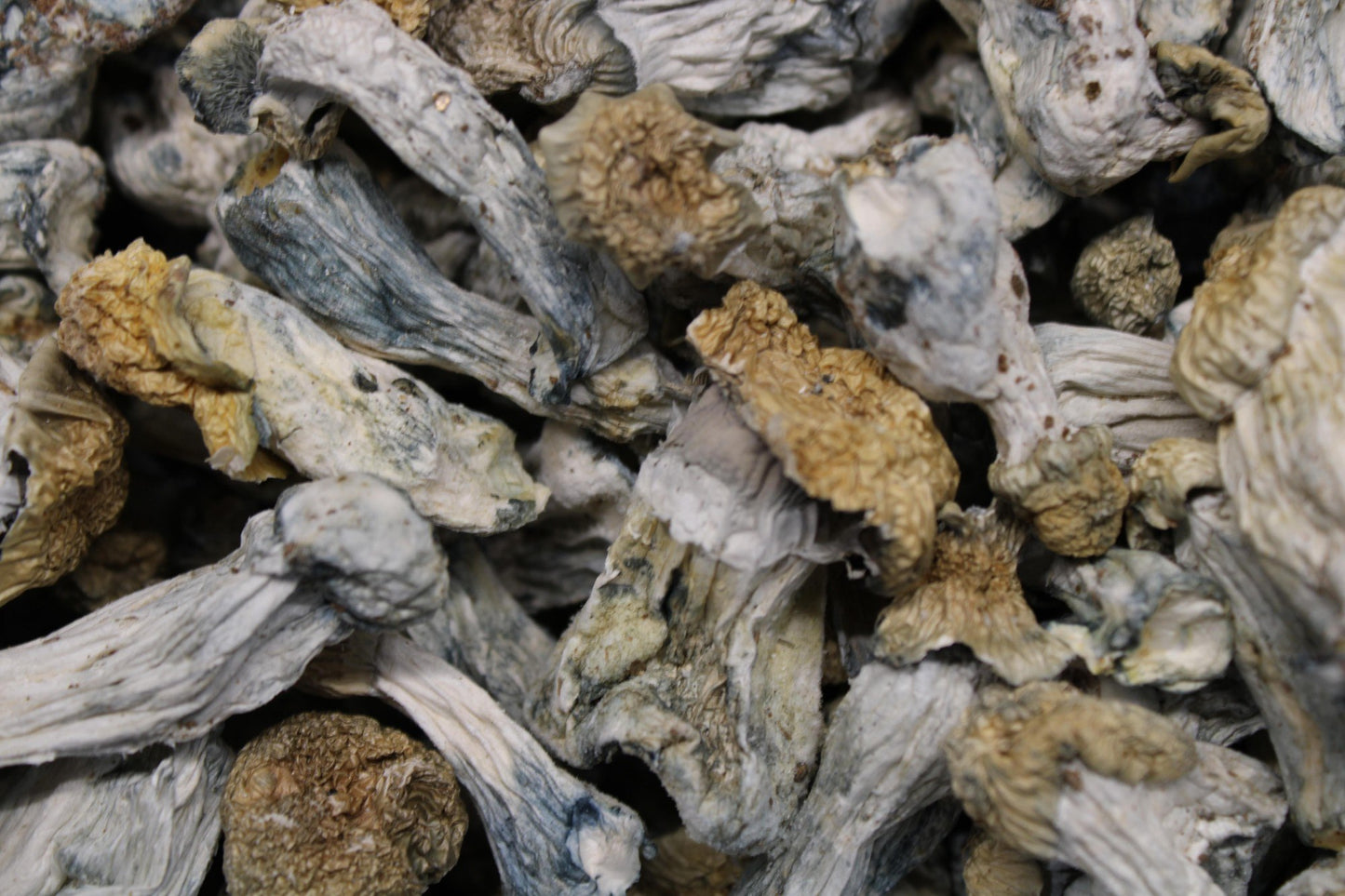 Baby Ape - AAA Shrooms