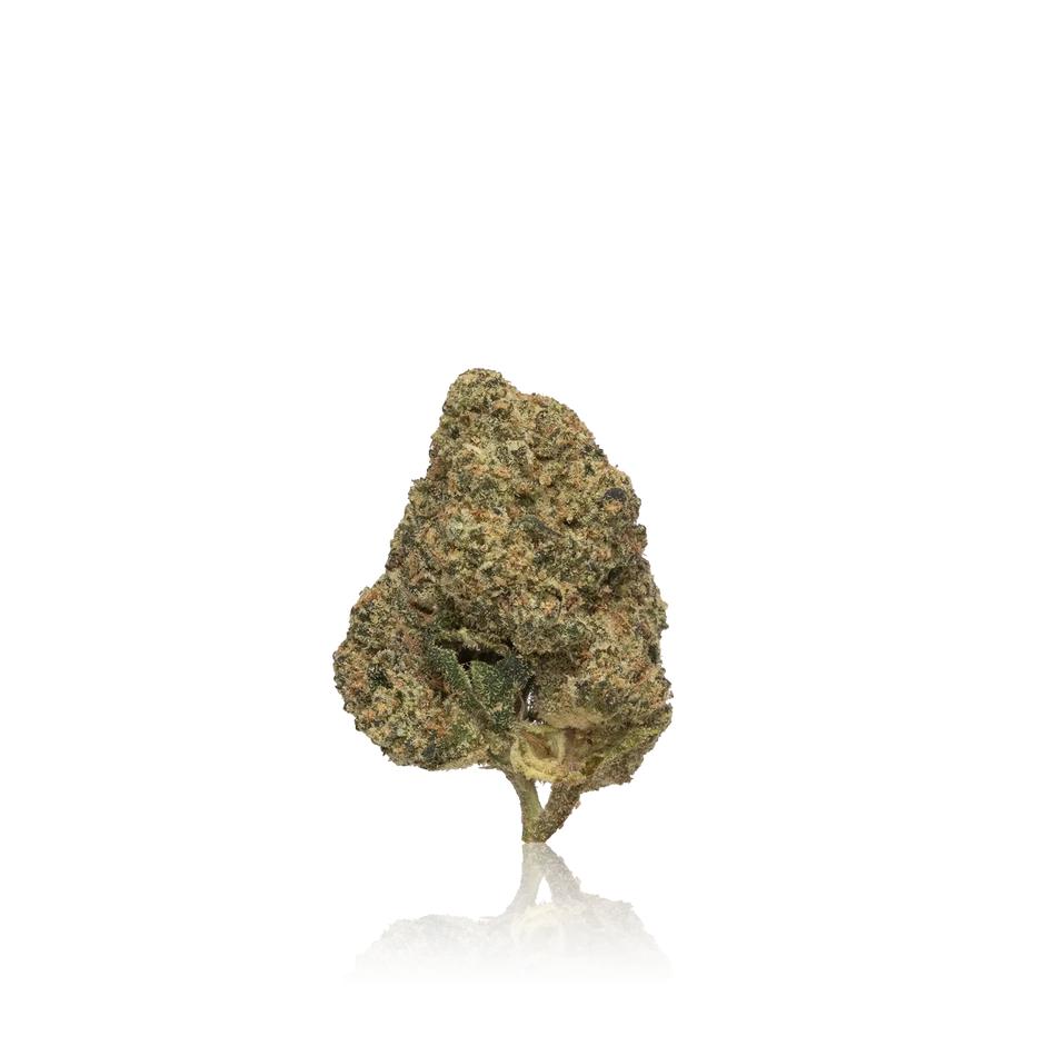 Biscotti Premium Indoor Flower