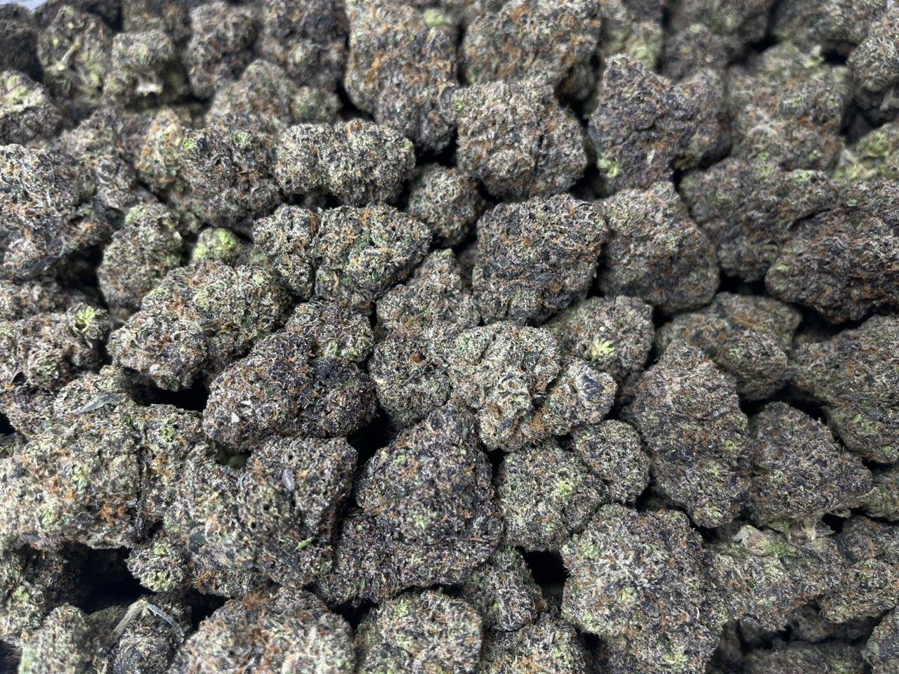 [EXOTIC] Black Cherry Gumbo
