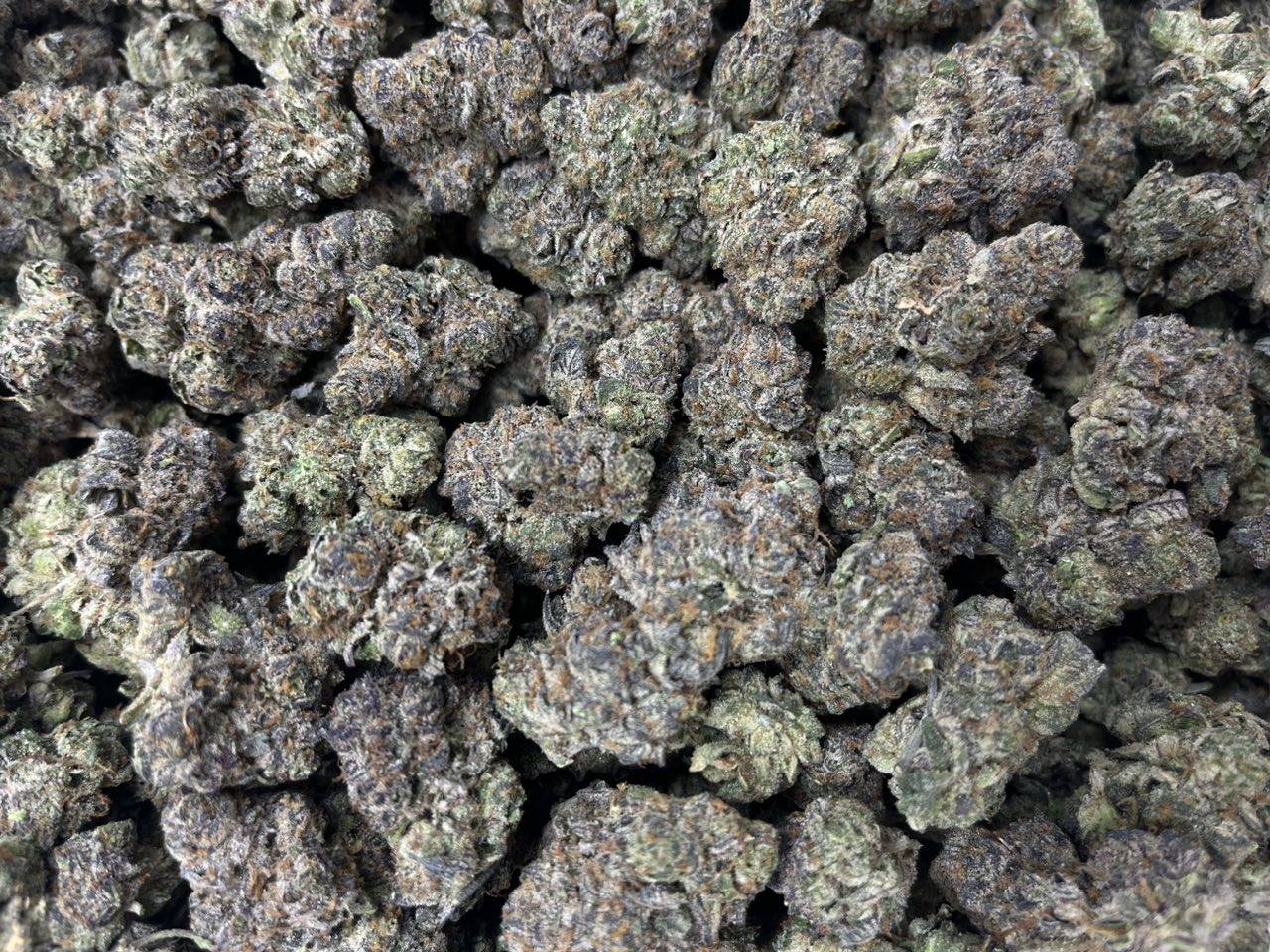 [EXOTIC] Blue Cookies