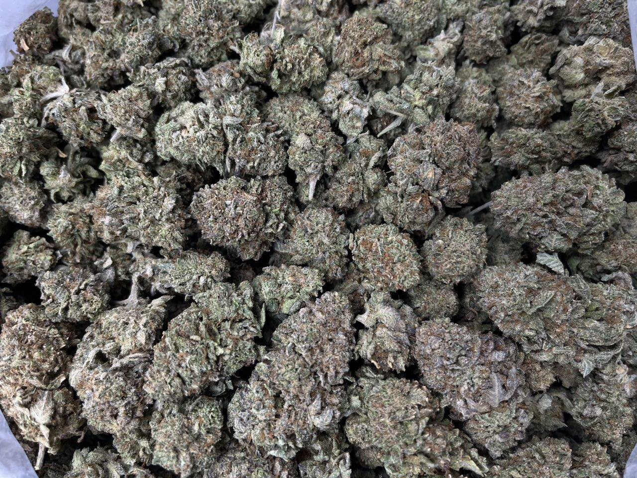 [EXOTIC] Bubba Kush