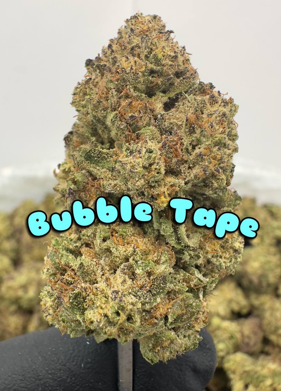 NEW PREMIER LIGHT DEPS: Bubble Tape. Lemon Dream