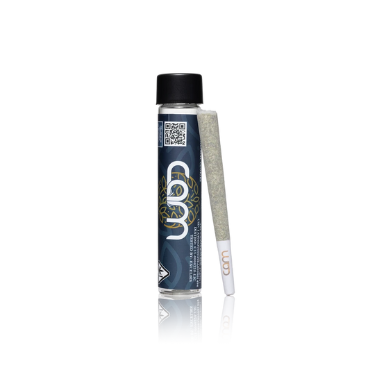 CAM Premium Full Flower Pre-Roll