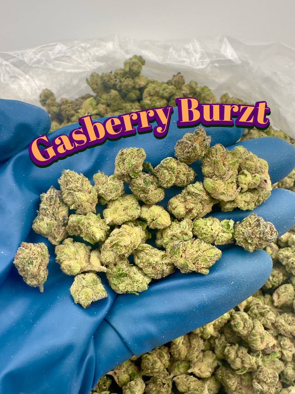 NEW LOUDBOY INDOOR SMALLS: Wrank Wruntz, Gasberry Burzt, Watermelon Zum Zum, Hard Candy
