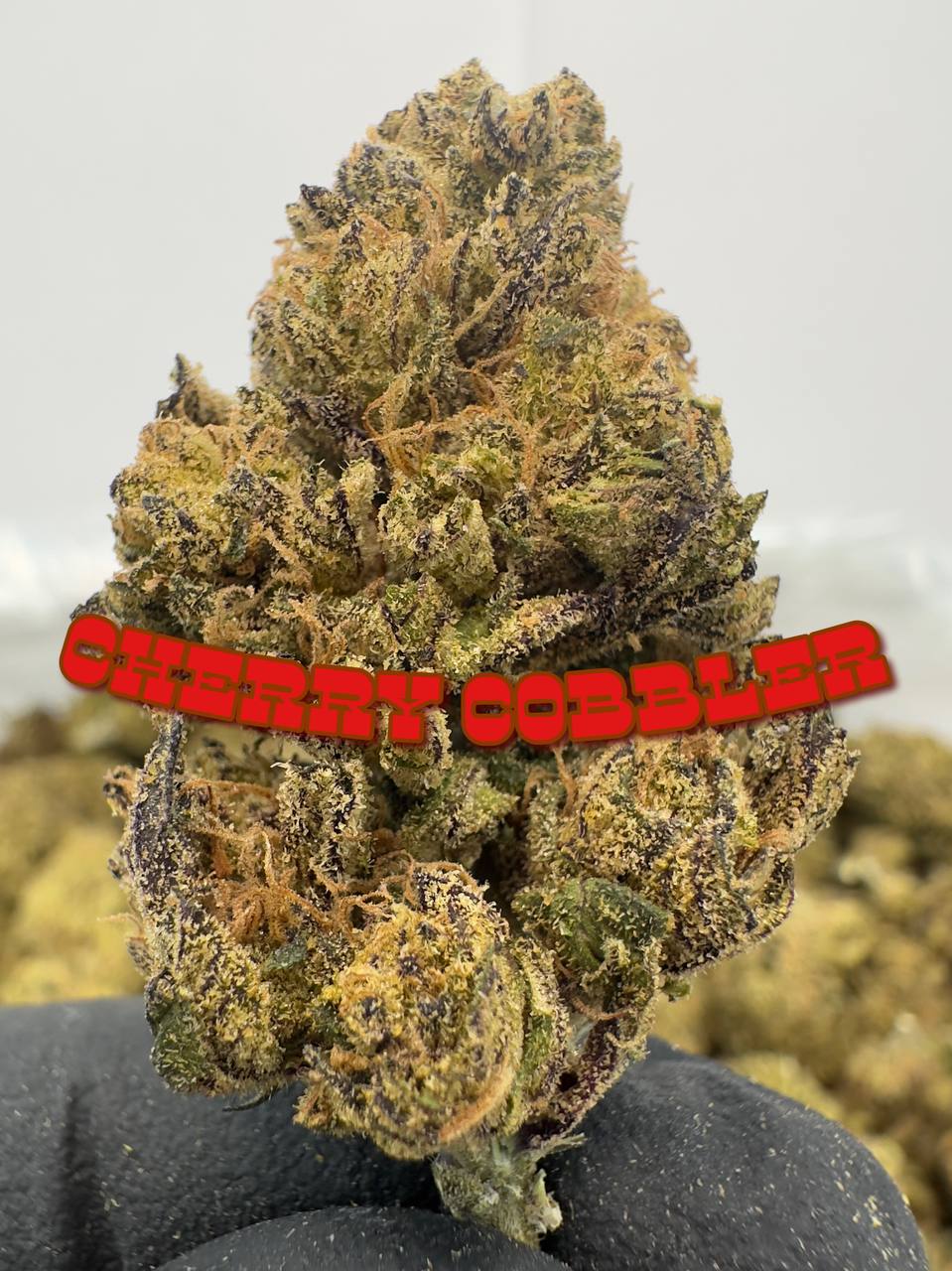 NEW DISCOUNT DEPS: Cherry Cobbler, White Runtz, Sour Chem, Guava Dawg