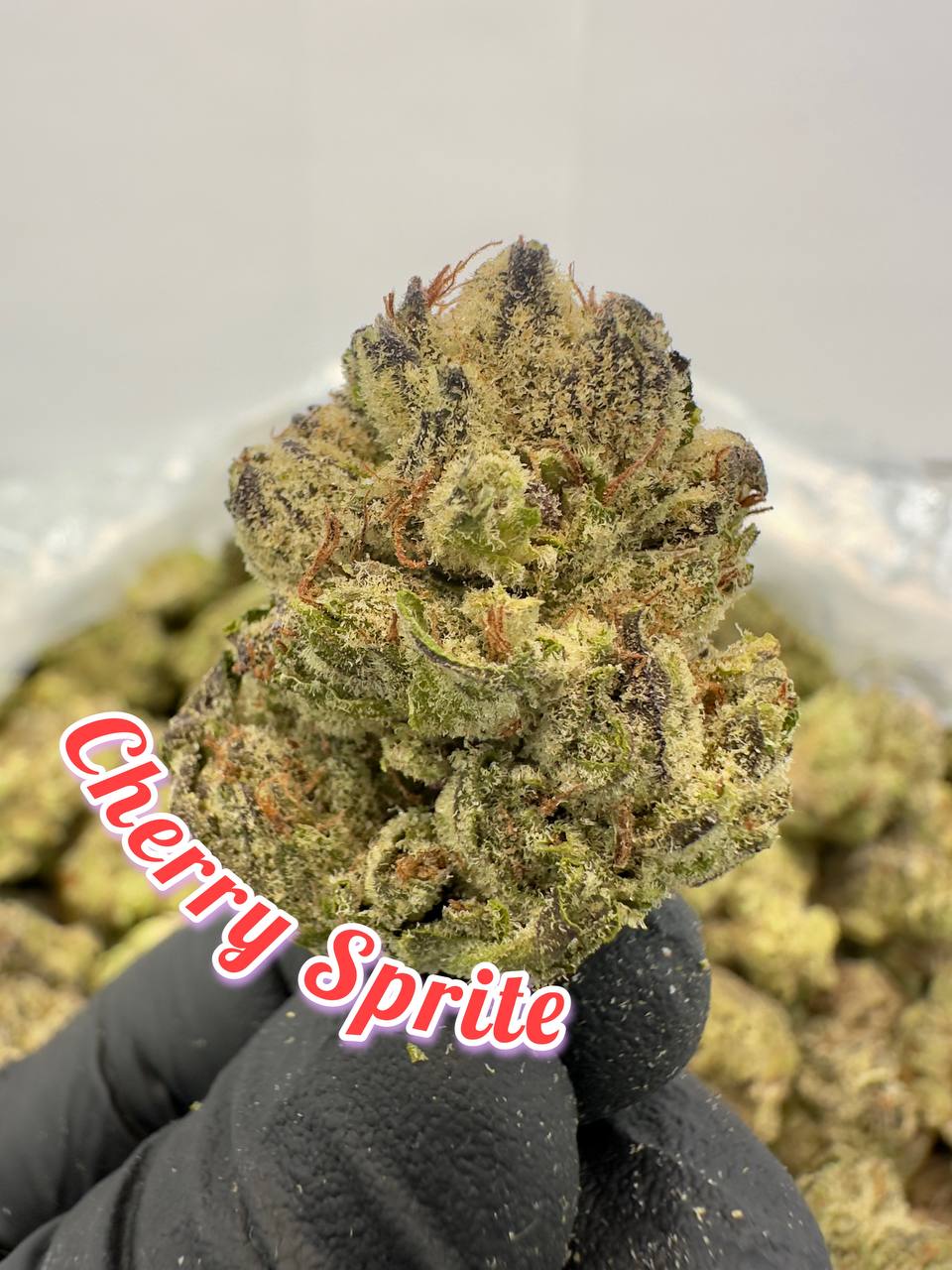 NEW BOUTQUES: Menthol Jokerz, Cherry Sprite