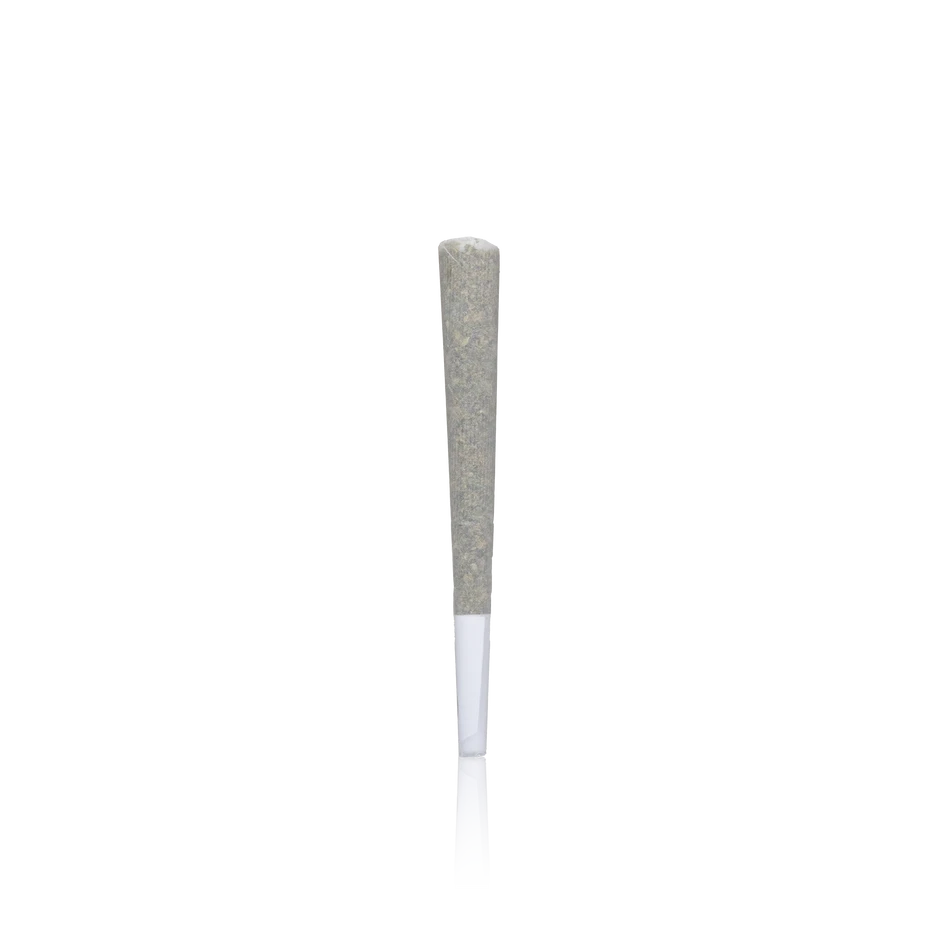 Cizi Premium Pre-Roll