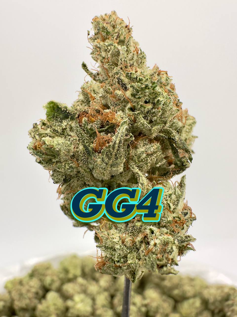 LEGENDS JUNIOR VARSITY SQUAD: Granddaddy Wreck, Lemon Tree Haze