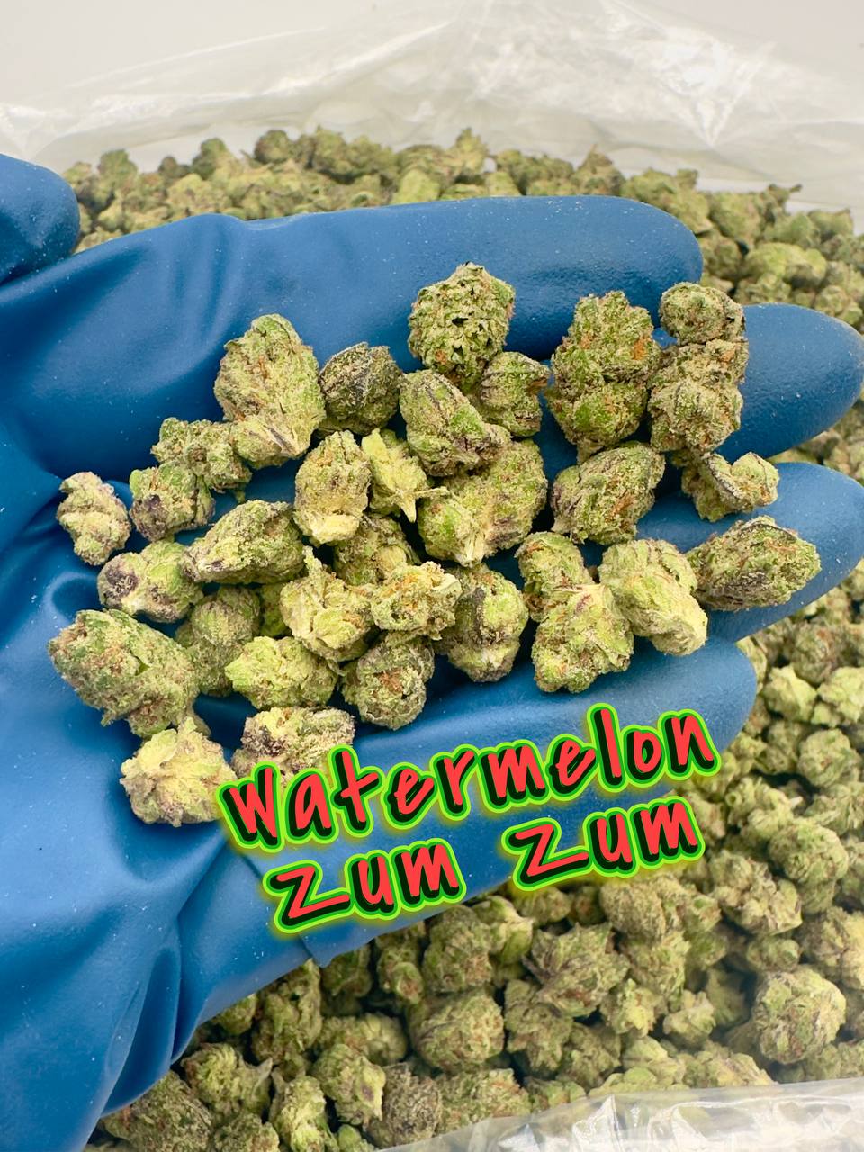NEW LOUDBOY INDOOR SMALLS: Wrank Wruntz, Gasberry Burzt, Watermelon Zum Zum, Hard Candy