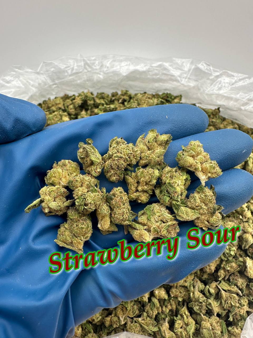 NEW GREENHOUSE SMALLS: Platinum Cookies, Biscotti Gelato, Zoap Mintz, Strawberry Sour