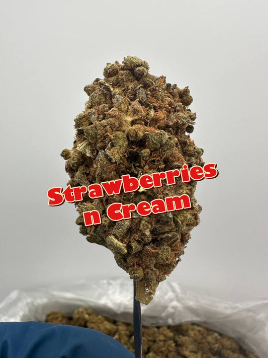 ORGANIC OUTDOORS: Cake Mix, Grease Monkey, Bonkerz, Strawberries N Cream