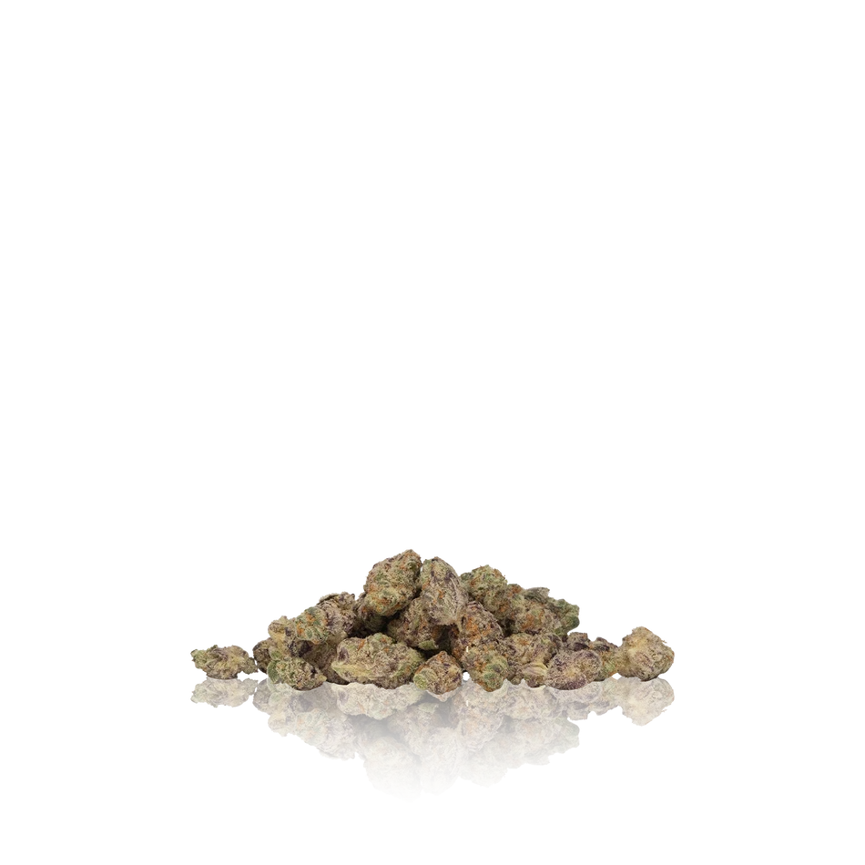 Gelato Premium Indoor Smalls