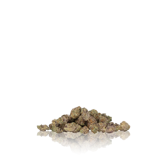 Gelato Premium Indoor Smalls