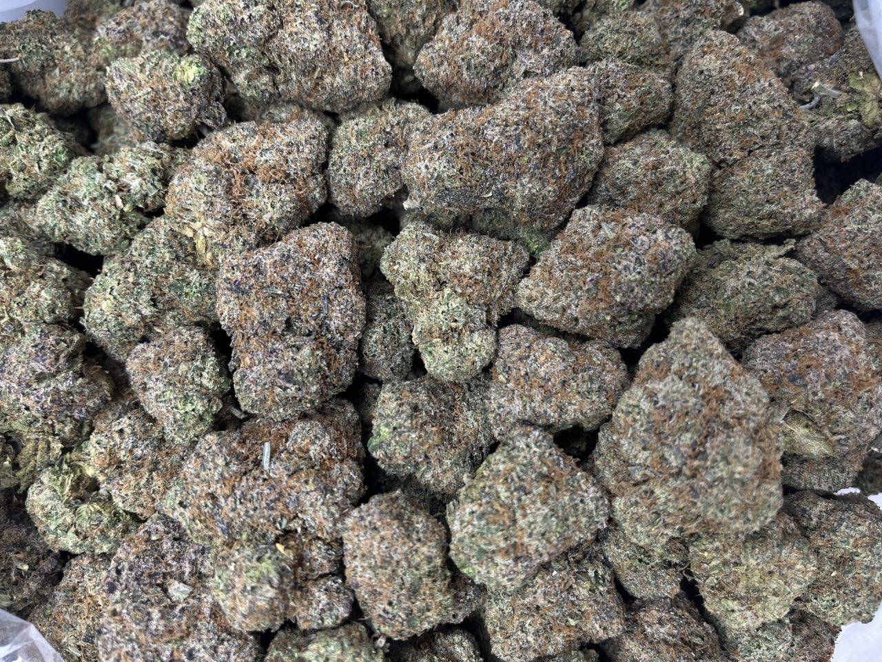 [EXOTIC] Grape Gushers