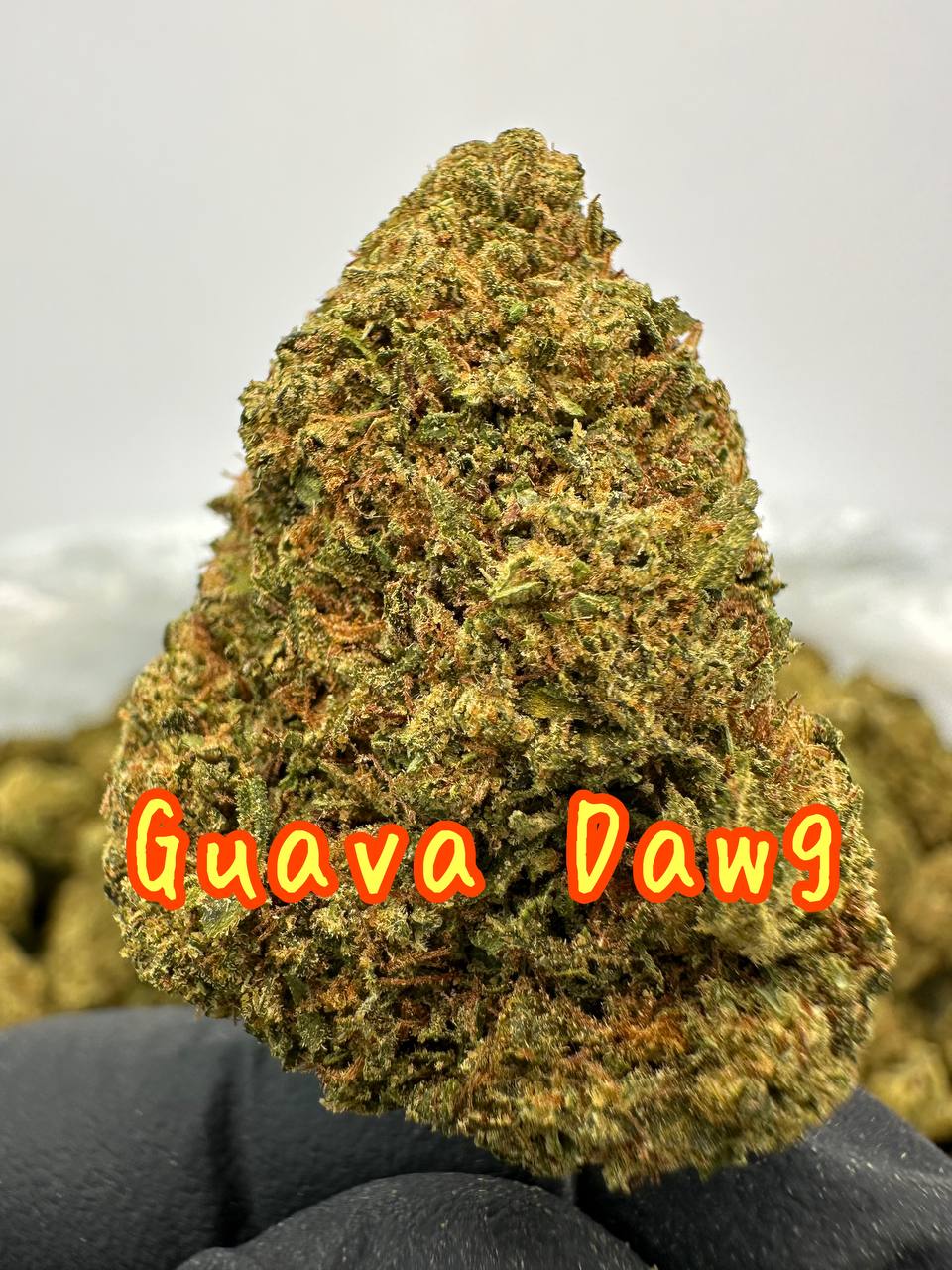 NEW DISCOUNT DEPS: Cherry Cobbler, White Runtz, Sour Chem, Guava Dawg