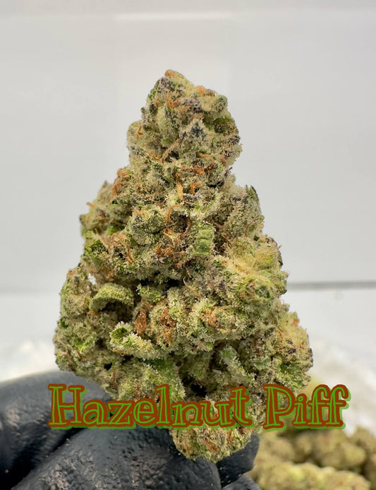 NEW LIGHT ASSIST: Jack Herer, Hazelnut Piff