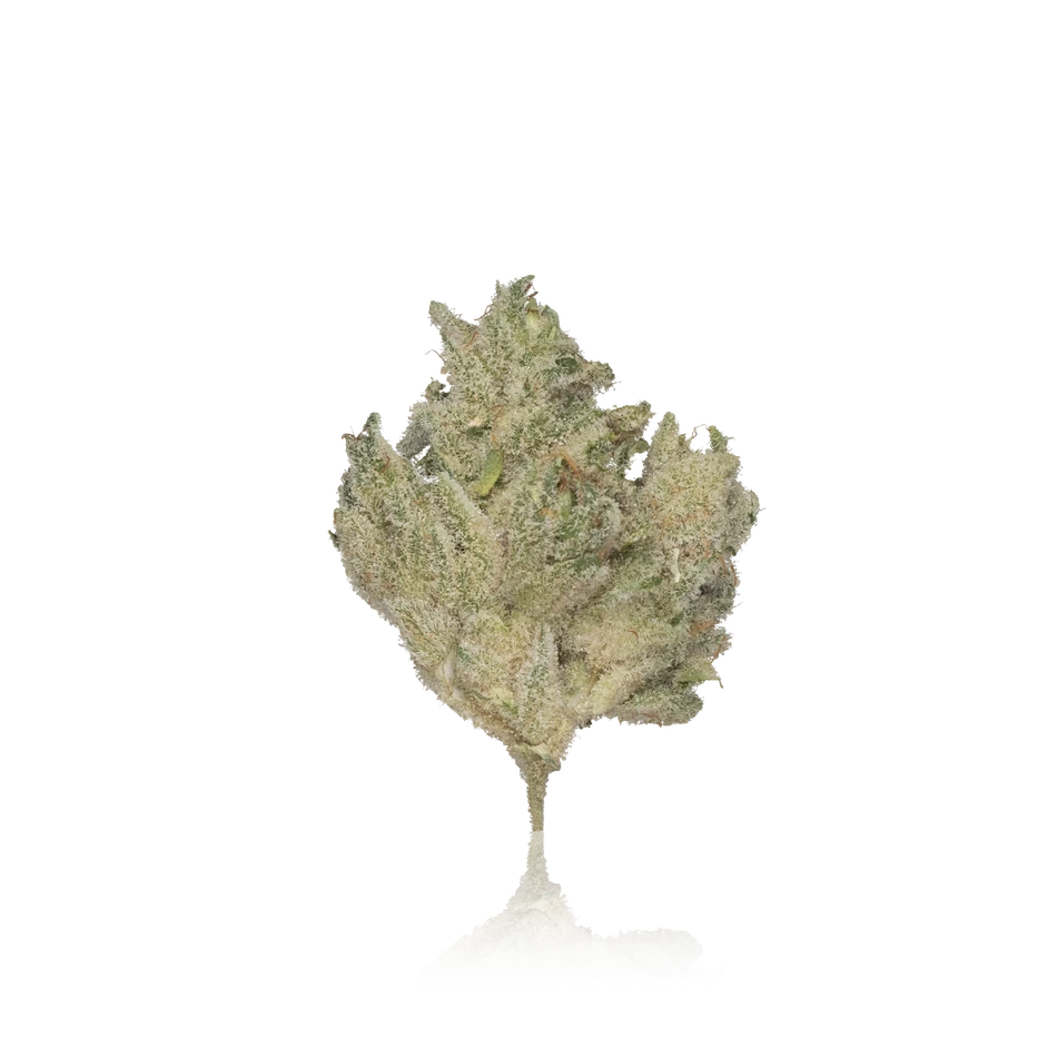 Heirbloom Legacy Premium Flower