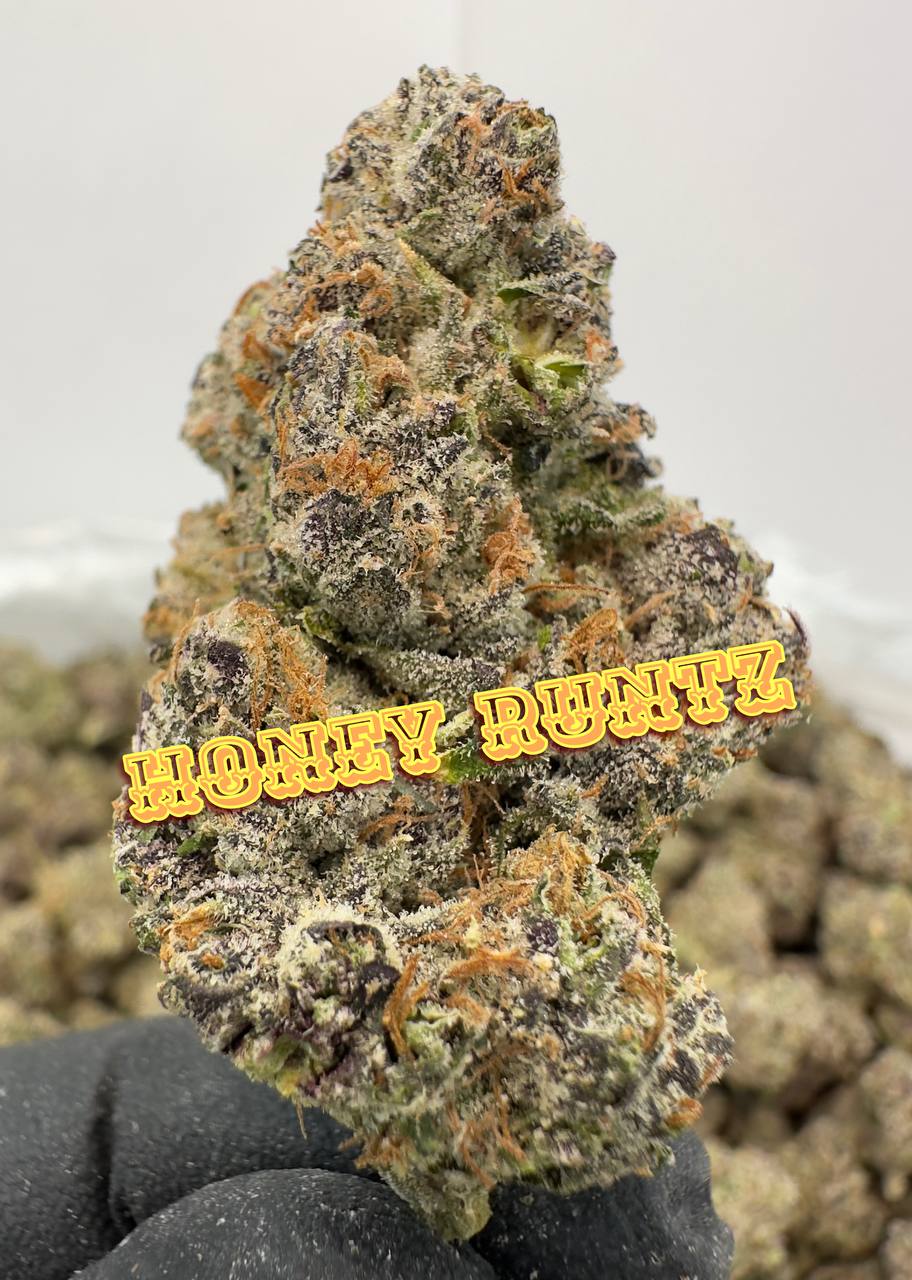 NEW A-GRADE EXOTIC INDOOR: Bubblegum LCG, Honey Runtz