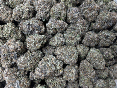 PREMIUM FLOWERS