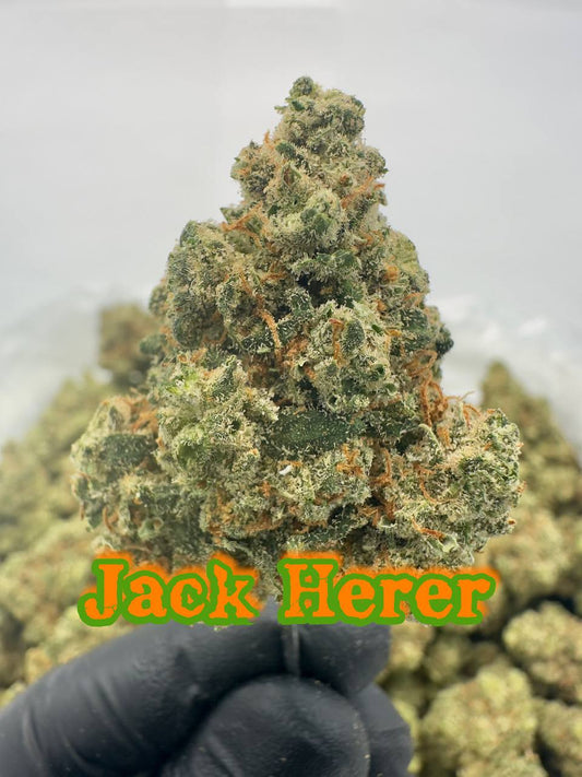 LEGENDS SERIES: Jack Herer, Original Glue, SFV OG