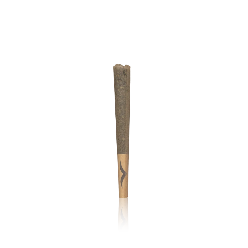 Jetty Live Resin Infused Preroll
