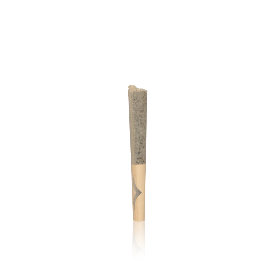 Jetty Live Resin Infused Pre-Rolls Pack