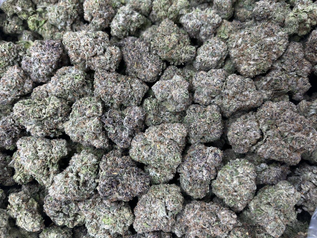 [EXOTIC] Kiwi Gummiez