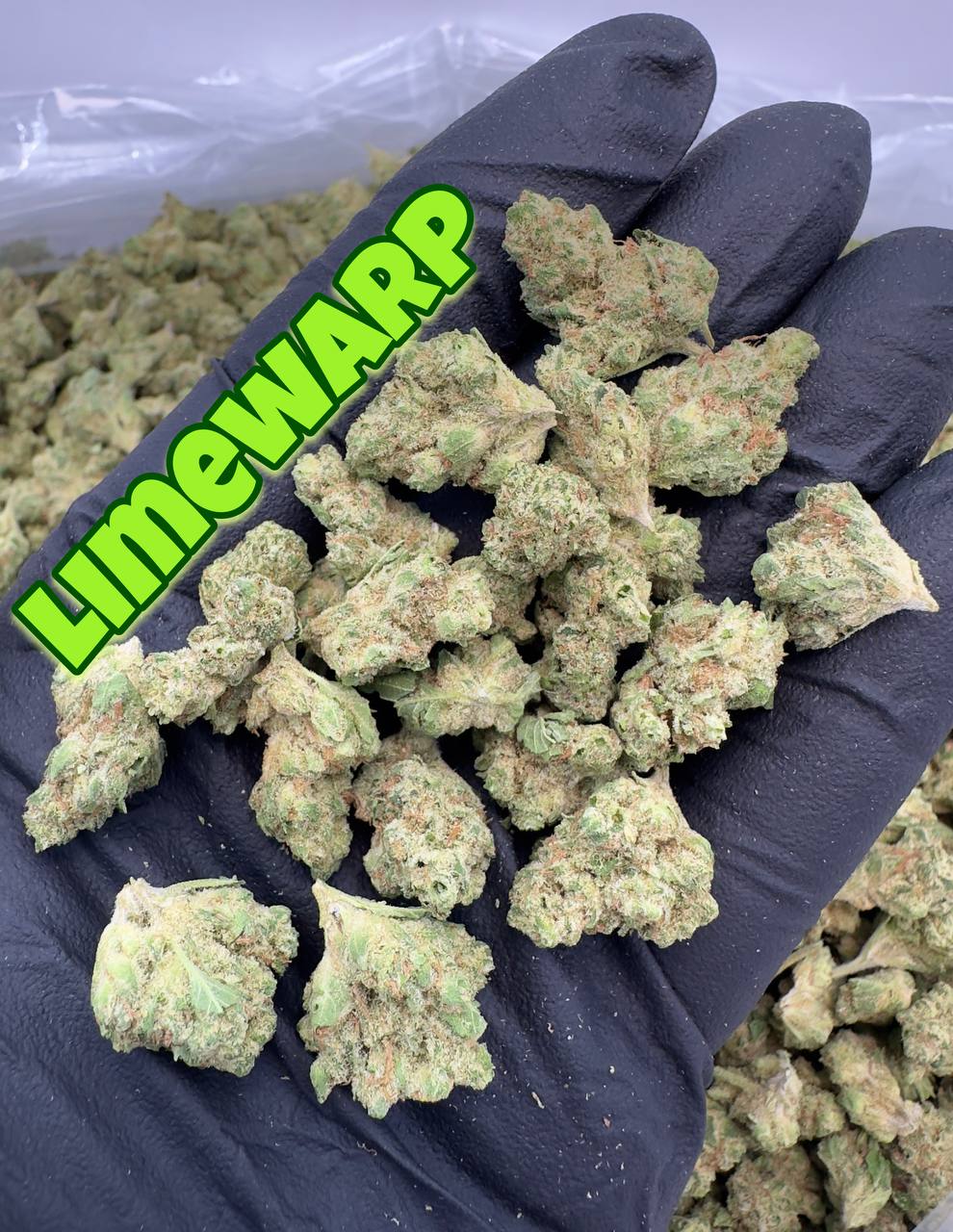 NEW LOUDBOY INDOOR SMALLS: Smoothiez, Watermelon Rock Candy, Piescream Cake. Limewarp